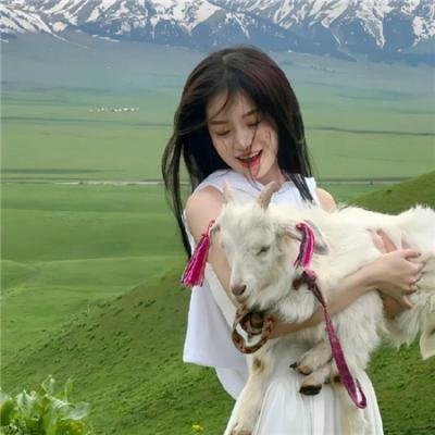 妙探父子兵