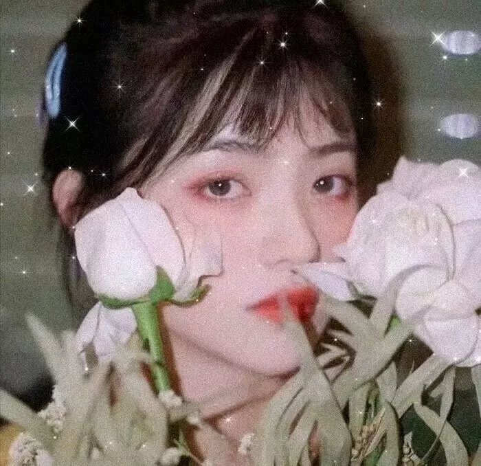 合约情人